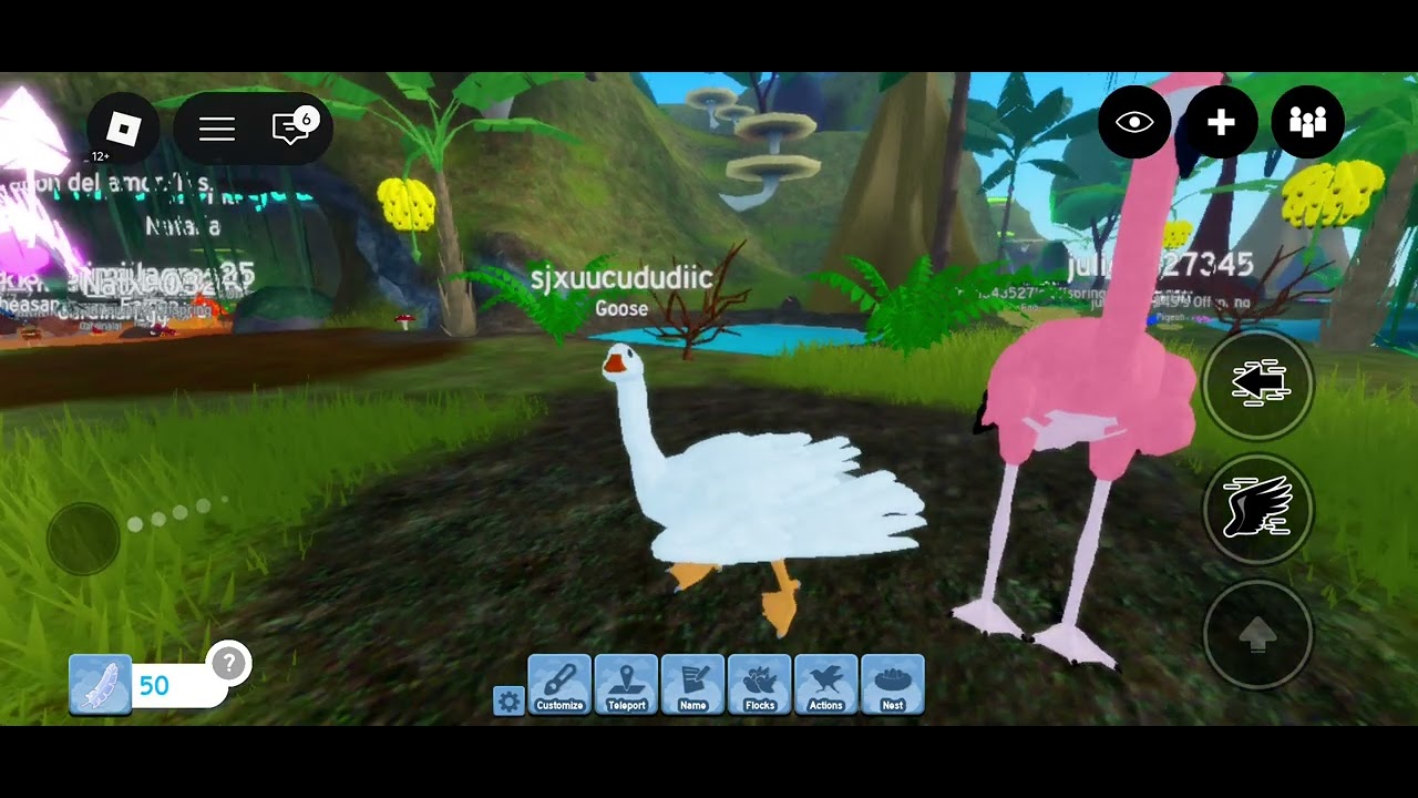 Goose play feather family