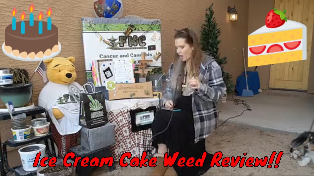 Ice Cream Cake Concentrate Weed Review From Arizona Organix!