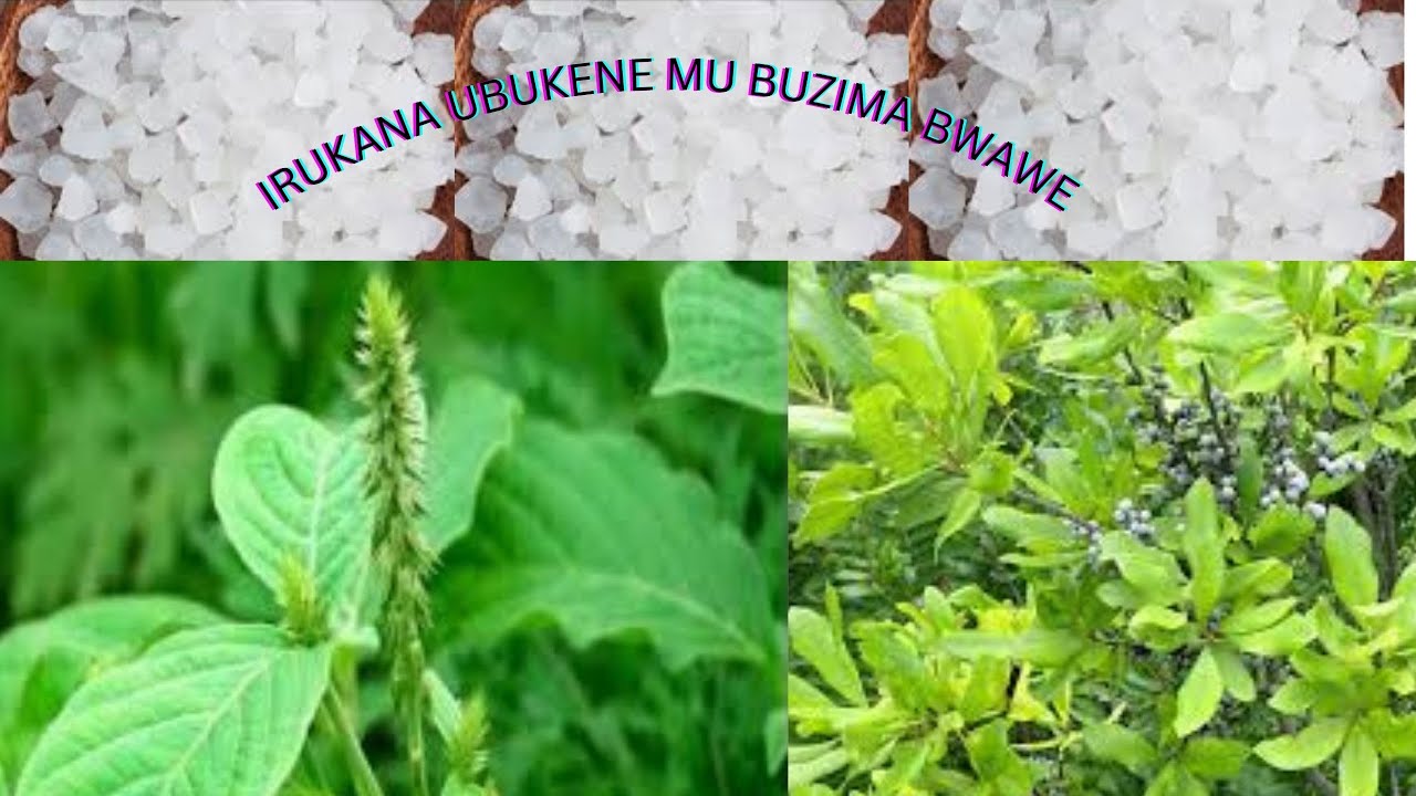 DORE UMUTI UDAKWIYE KUBURA MURUGO RWAWE NIBA UTURANYE N'ABAROZI//UVURA INYATSI UBUKENE N'UBUTINDI...