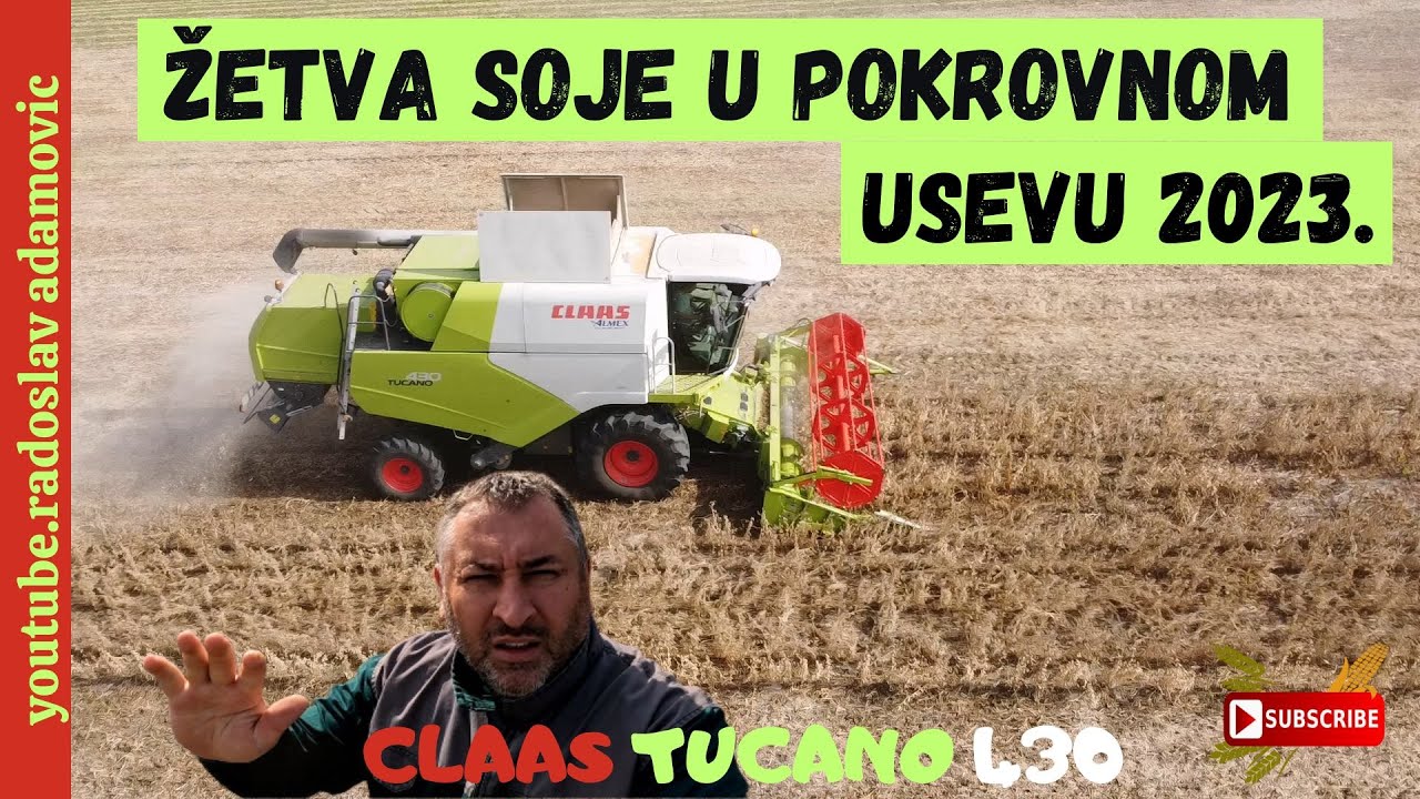 ŽETVA SOJE U POKROVNOM USEVU 2023: CLAAS TUCANO 430 ; COVER CROP SOY HARVEST 2023 WITH CLAAS TUCANO