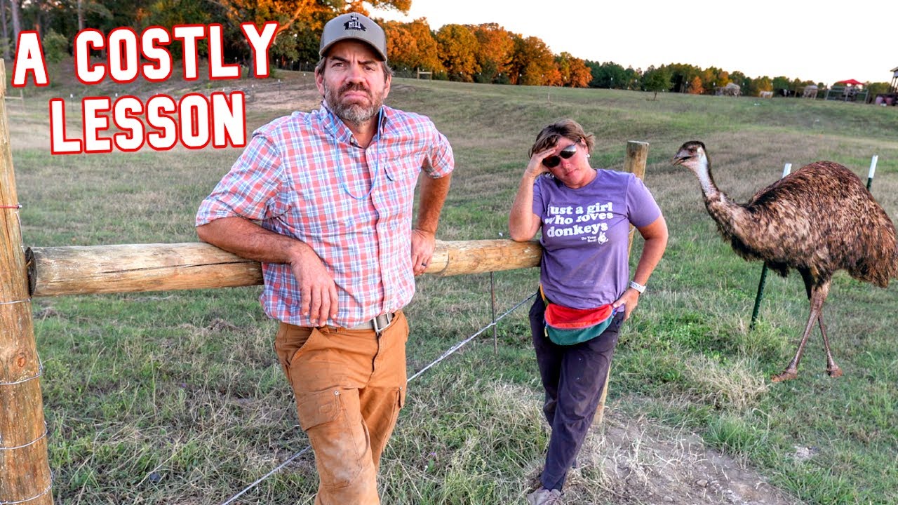 We Just Made a Big Mistake On Nugget's New Pasture!