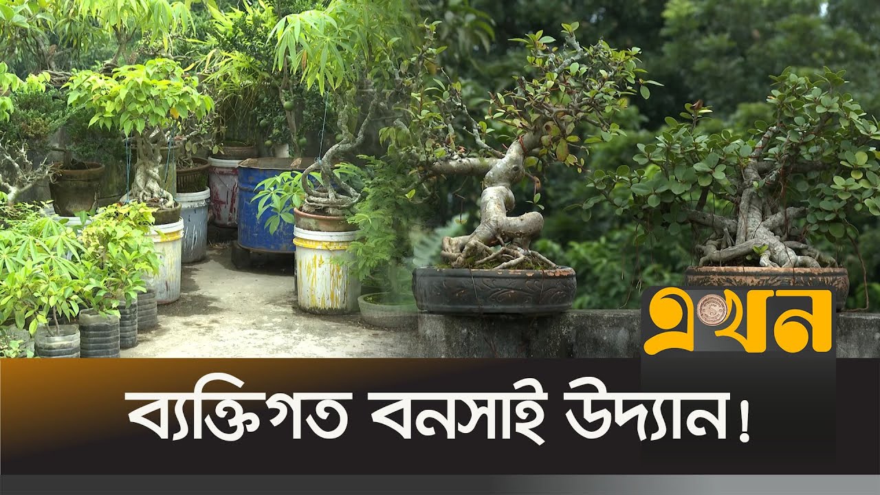 বাড়ির ছাদে ৩ শতাধিক বনসাই! | Roof Garden | Bonsai | Ekhon TV