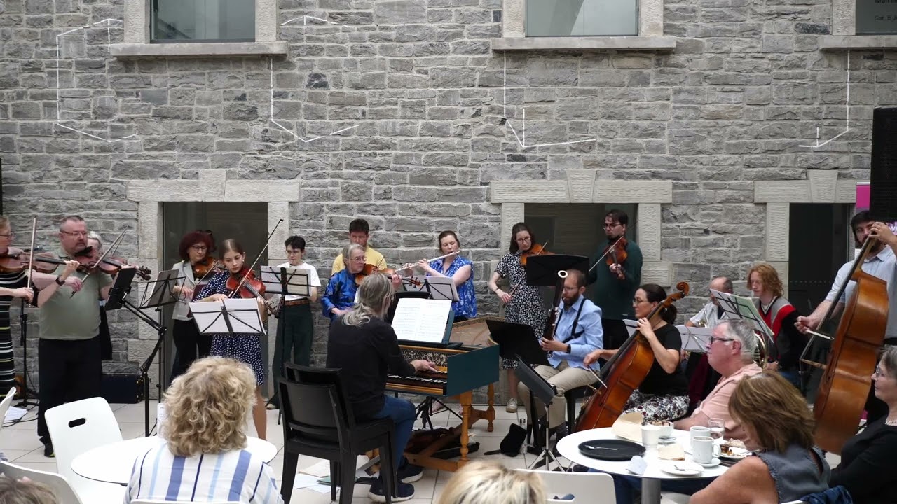 Adagietto, by Martin Moser, concerto for violin and orchestra, played by Victoria Gladka and SBO