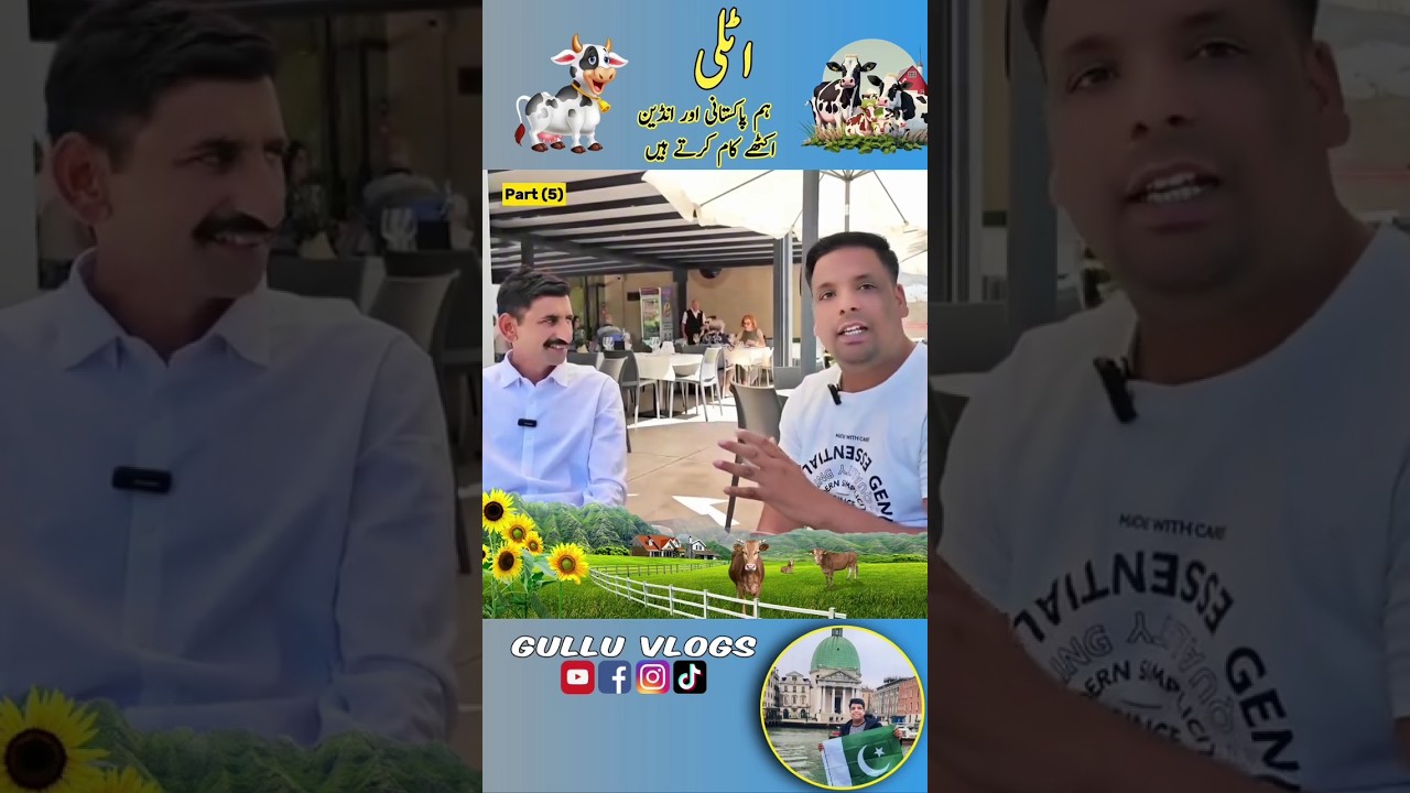 Dairy farm job in italy 🇮🇹 