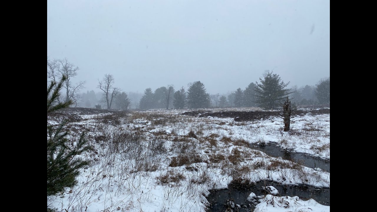 Quehanna Wild Area -  Winter Camping - January 2020