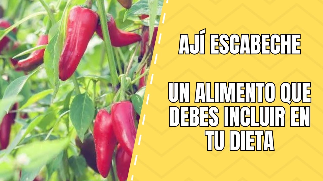 Aj&iacute; Escabeche: Caracter&iacute;sticas, Clasificaci&oacute;n y Usos en la Cocina