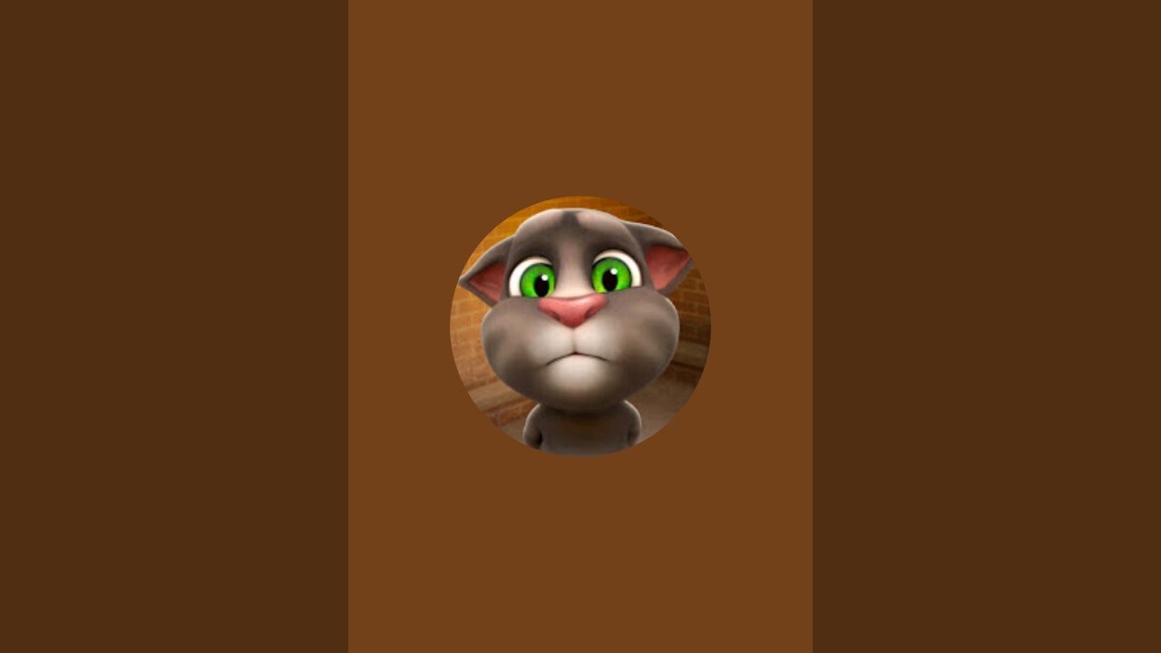 My talking tom live. my talking tom. my talking tom cat. cat live video. live gaming.