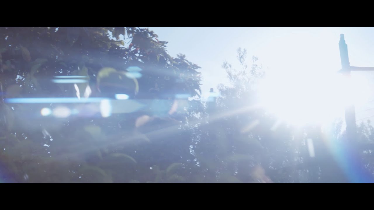 Sankor 16D Sun Lens Flare Test