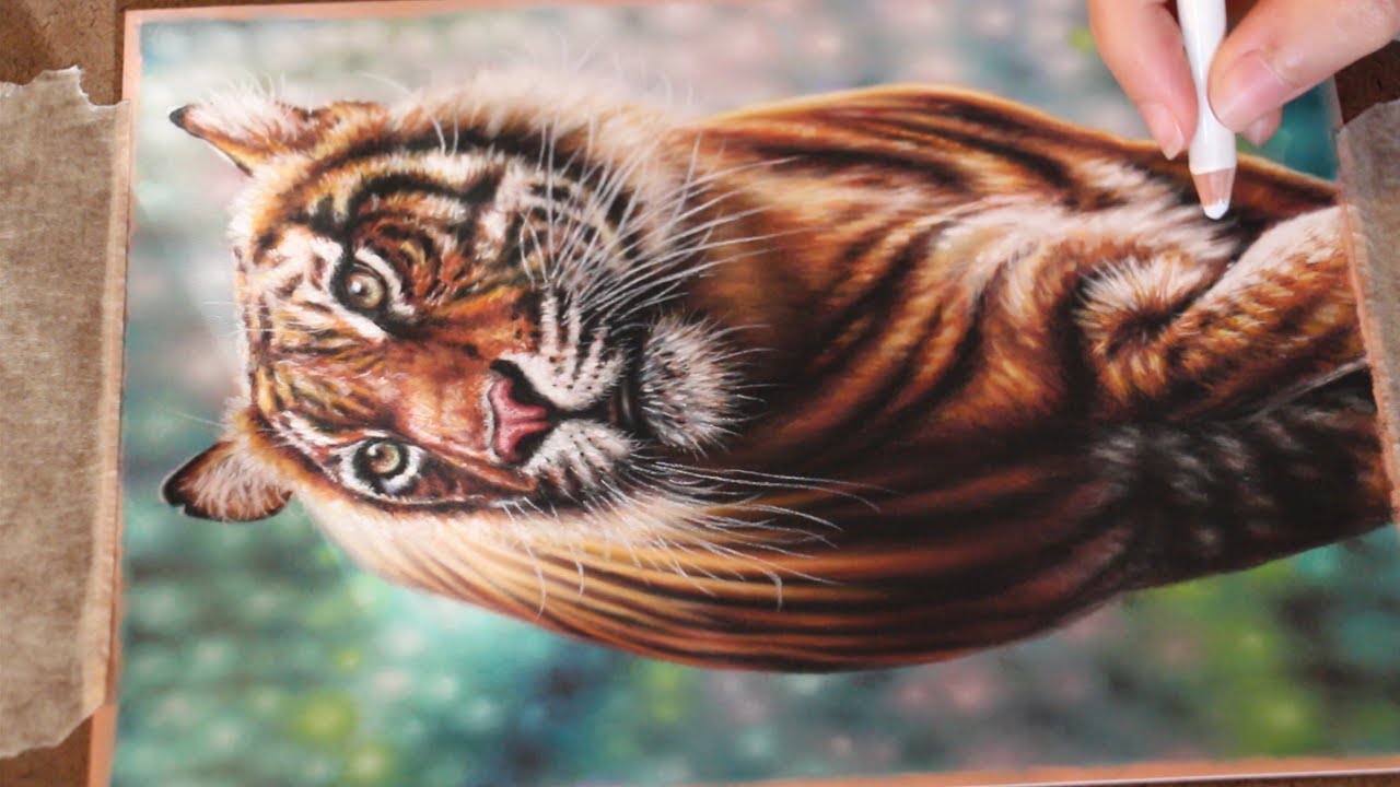 ‘Guidance’ – Timelapse of a tiger drawing in pastel