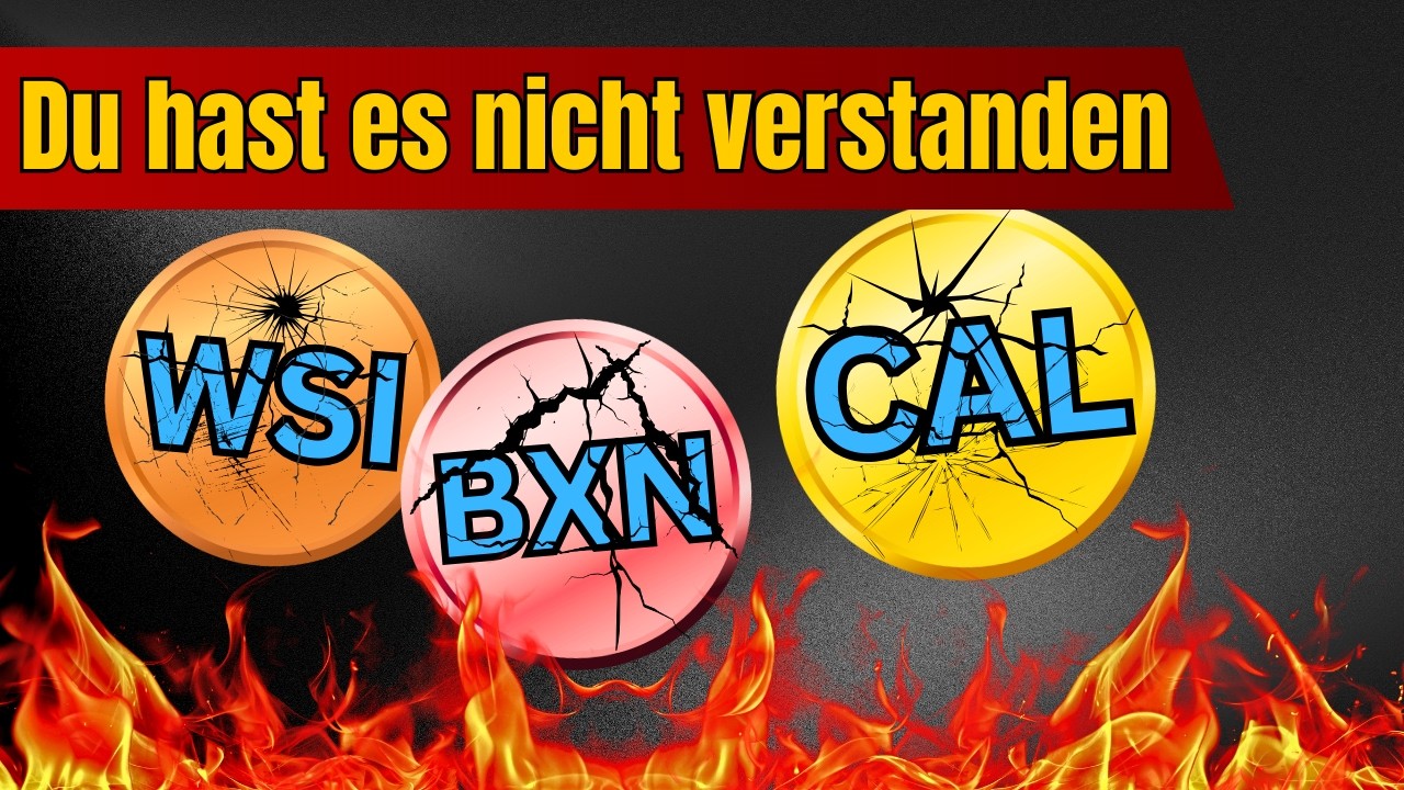 Wie Krypto Youtuber dich immer wieder hintergehen | WeSendIt Blackfort FitBurn
