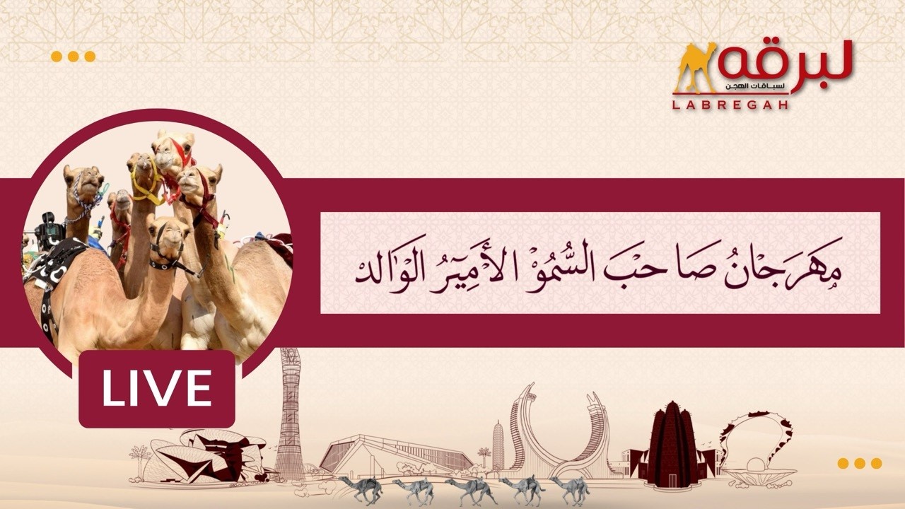البث المباشر | أشواط الحيل والزمول العامة -الرموز (مهرجان صاحب السمو الأمير الوالد) مساء 12-02-2026