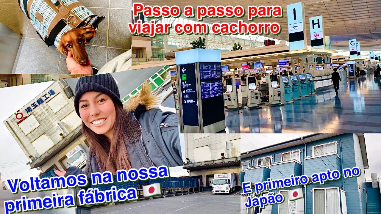 A Gucci passou na inspe&ccedil;&atilde;o da QUARENTENA para PODER IR EMBORA 🇯🇵✈️🇧🇷 ELA VAI PRO BRASIL 🙏🏼😍❤️