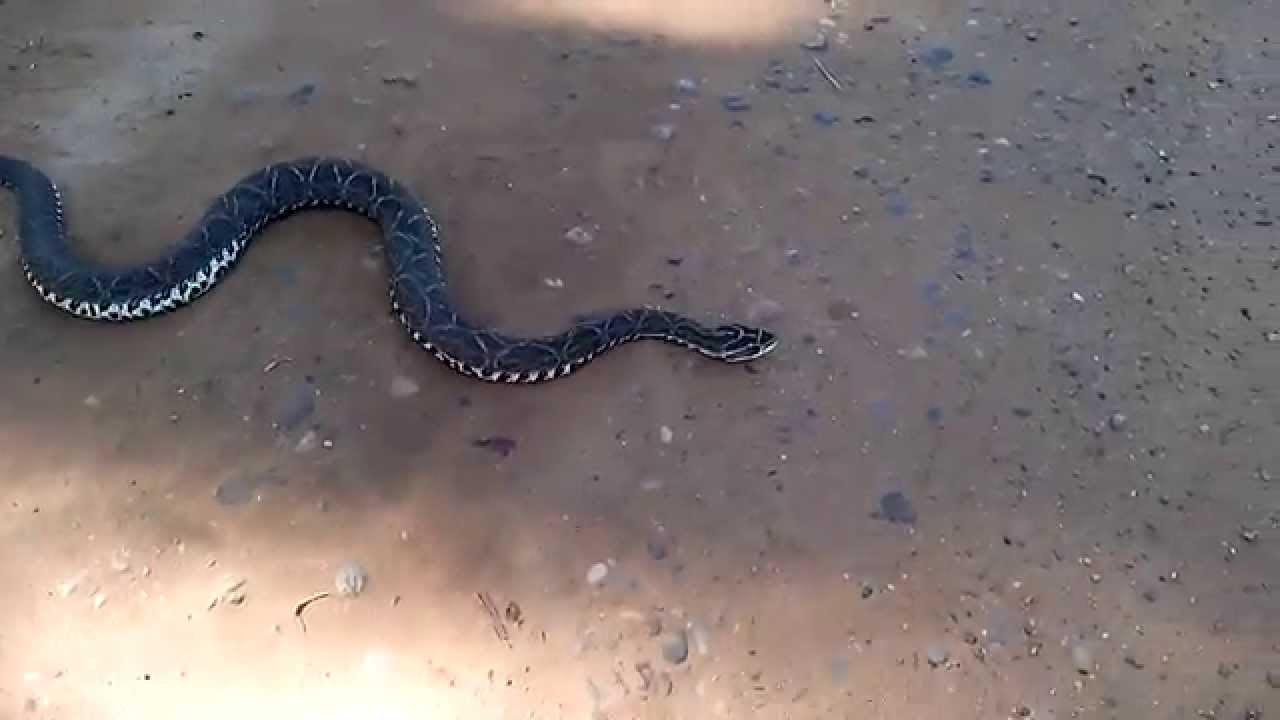 Yarar&aacute; en mi barrio