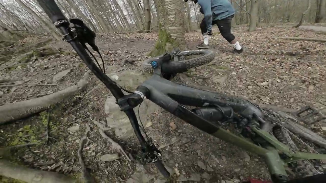 Stadtwald Hagen / Dackel ATTACKE!!! / Dr. Dino untersucht den Boden