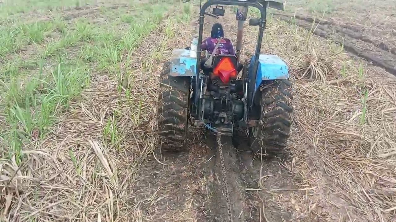Evakuasi Truk Tebang Tebu Traktor New Holland - Sugarcane farming Sugar Factory