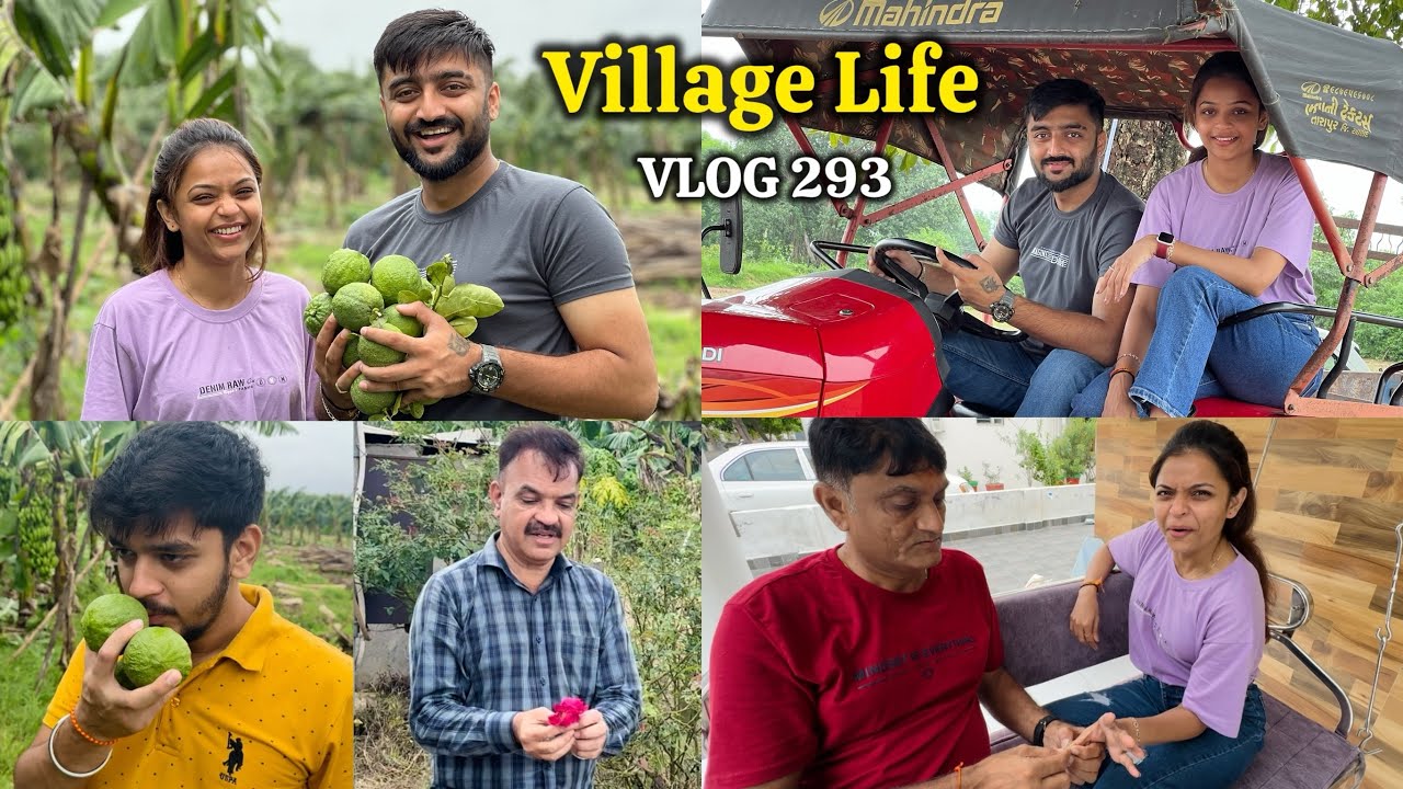દિરાવીએ વાડીએ લીંબુ ઉતાર્યા🍋 એમાં ફાંસ વાગી અને વાડીએ ટ્રેક્ટર ચલાયું!😍 Village Life Gujarati Vlog