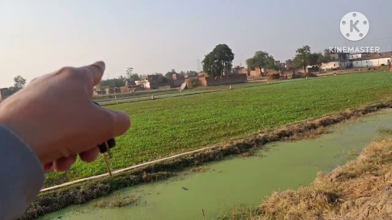 On road #investment plot location- #मसौढ़ी    #patna #realestate #highlight #onepatnabestproperty 