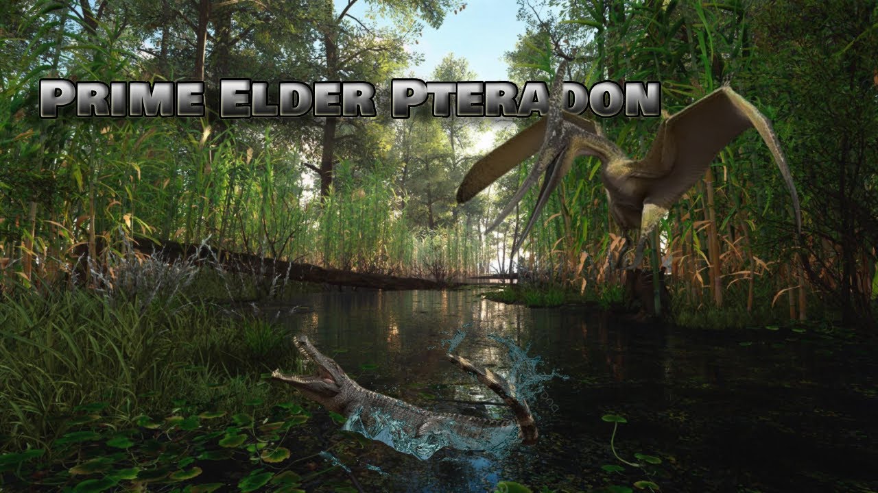 The Legendary Journey of a Prime Elder Pteradon!