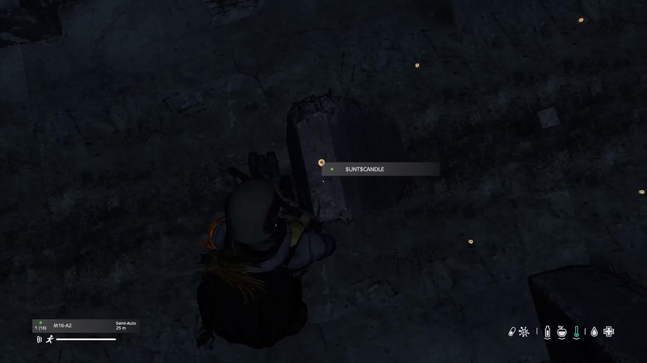 Great DayZ Adventure