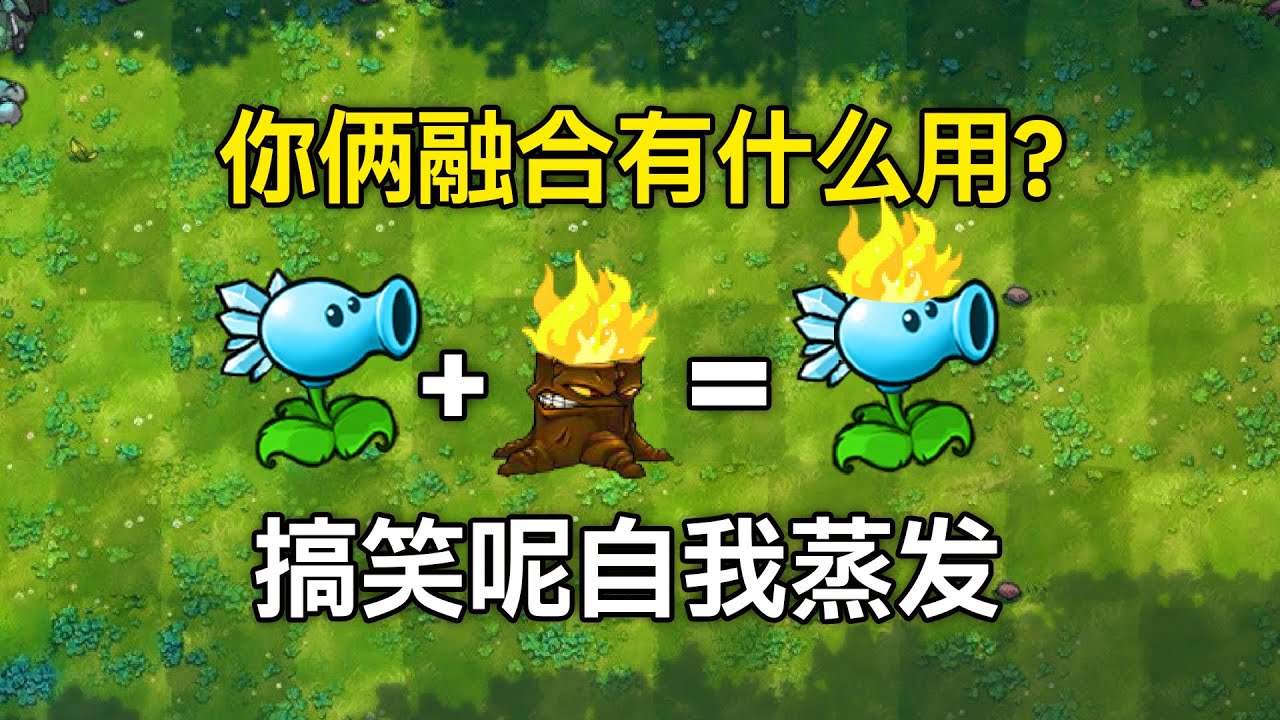 官方都设计不出来的天才植物！