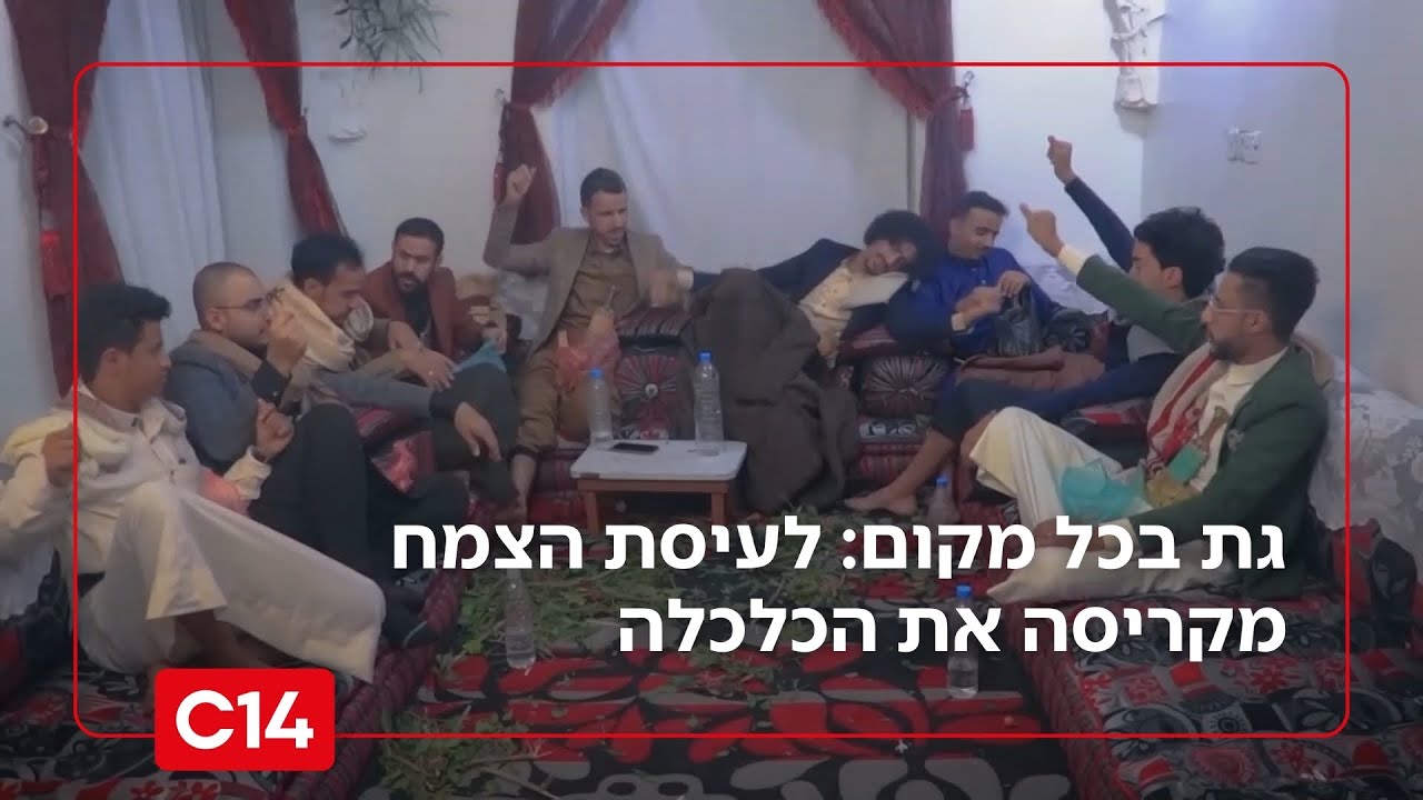 גת בכל מקום: לעיסת הצמח הממסטל מקריסה את כלכלת החות'ים | אחיקם הימלפרב