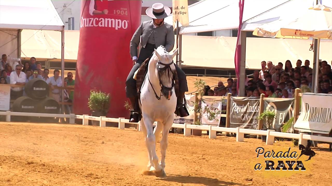 Rafael Arcos González con Disparate. Campeón de Andalucía 2016. Carmona