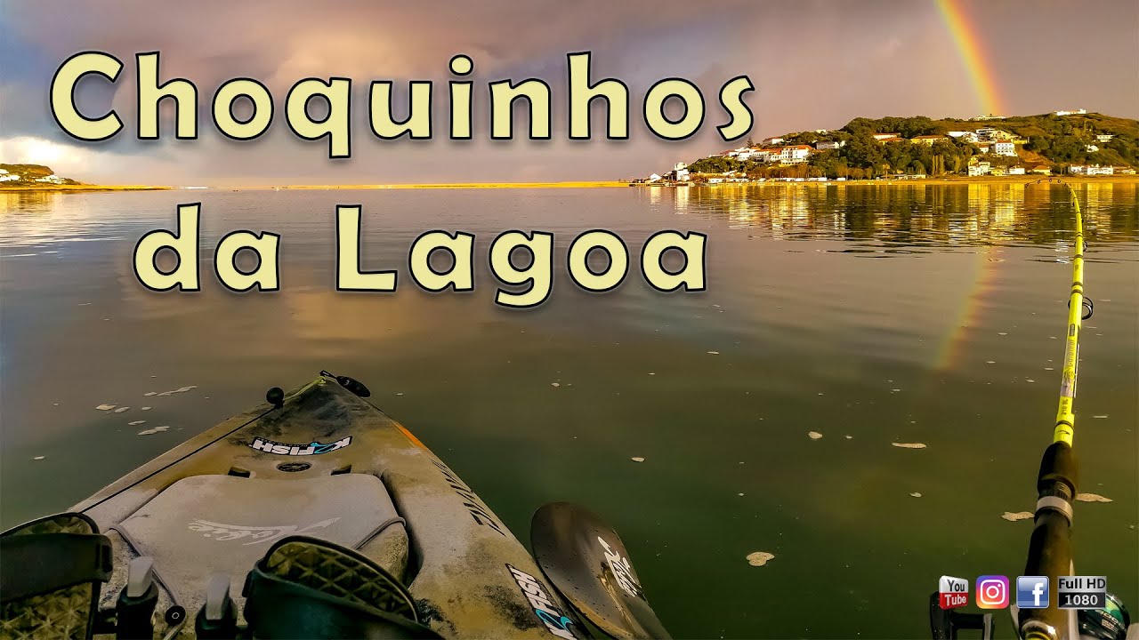 Choquinhos da lagoa | Little cuttlefish at lagoon
