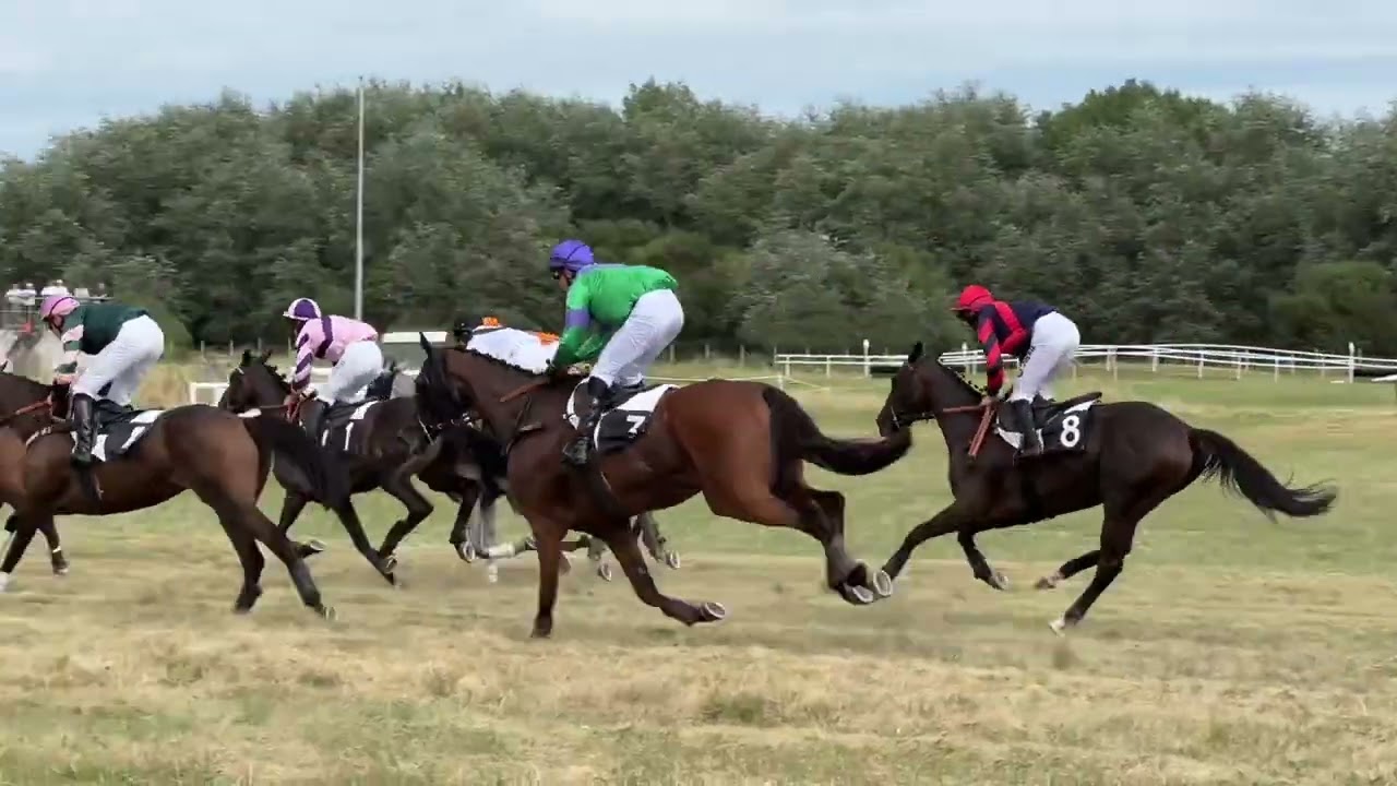 Grand Cross de Granville TNC#10 : Extragador,  le cheval venu de la mer