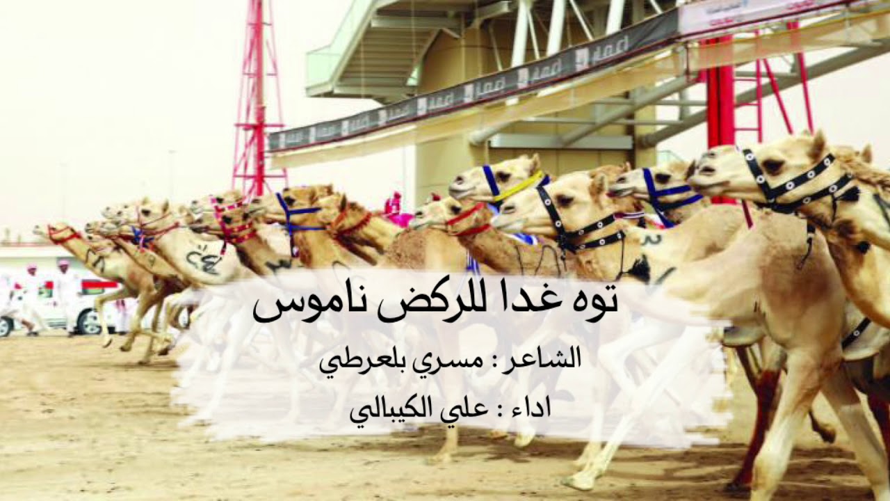 توه غدا في الركض ناموس - اداء علي الكيبالي