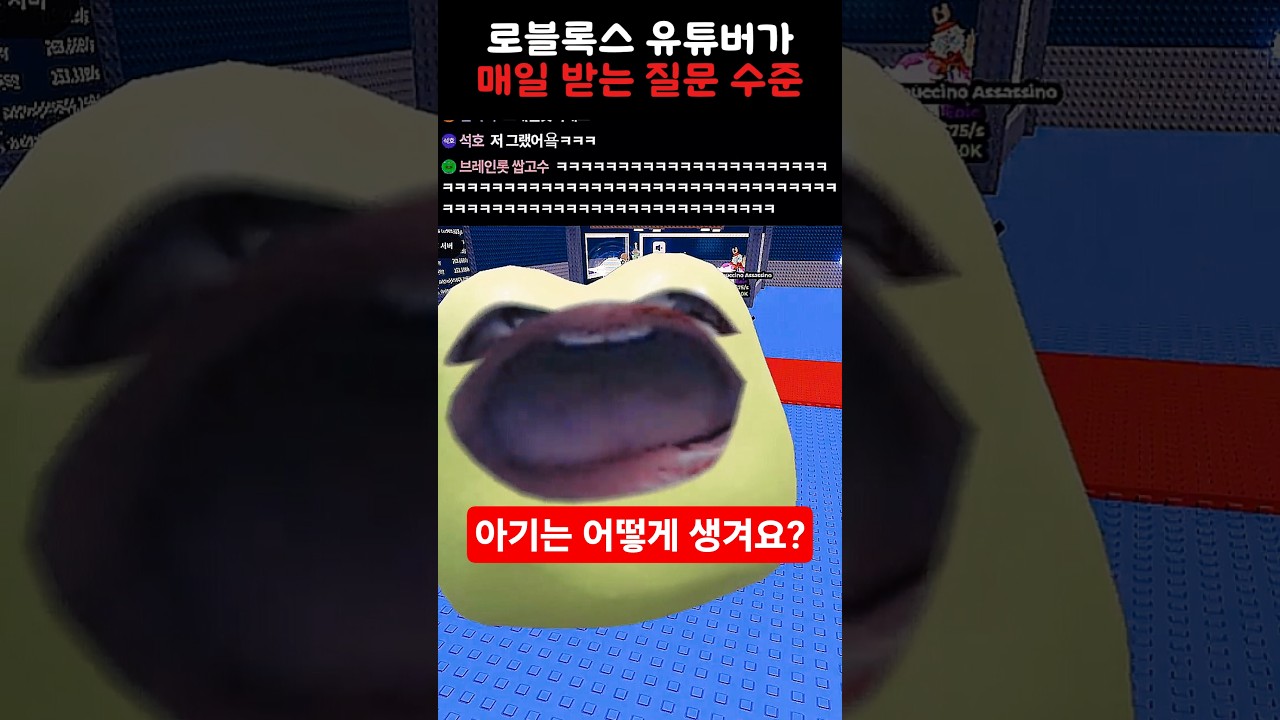 로블록스 유튜버가 매일 받는 질문 수준