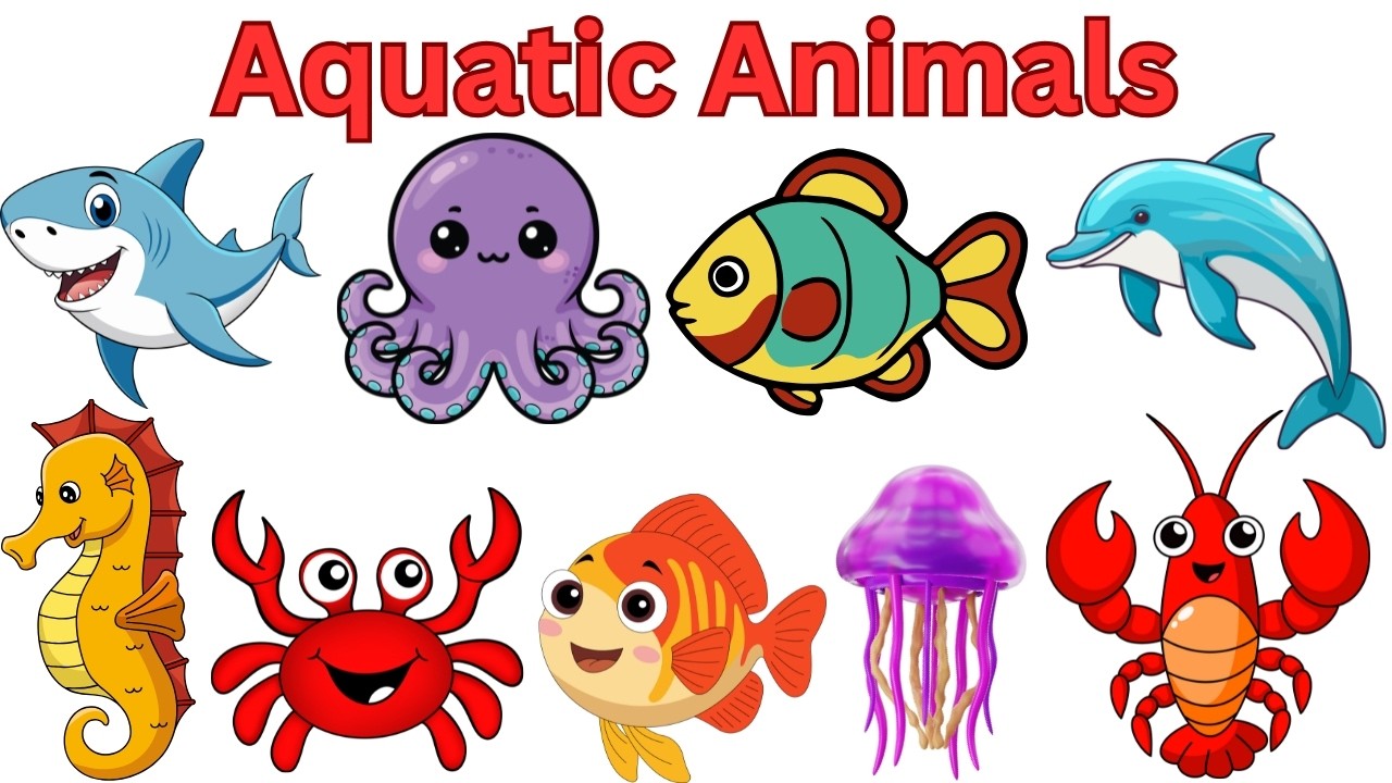 Aquatic Animals Names for Kids | Water Animals Names | Water animals Name in English | Kidi Kutti
