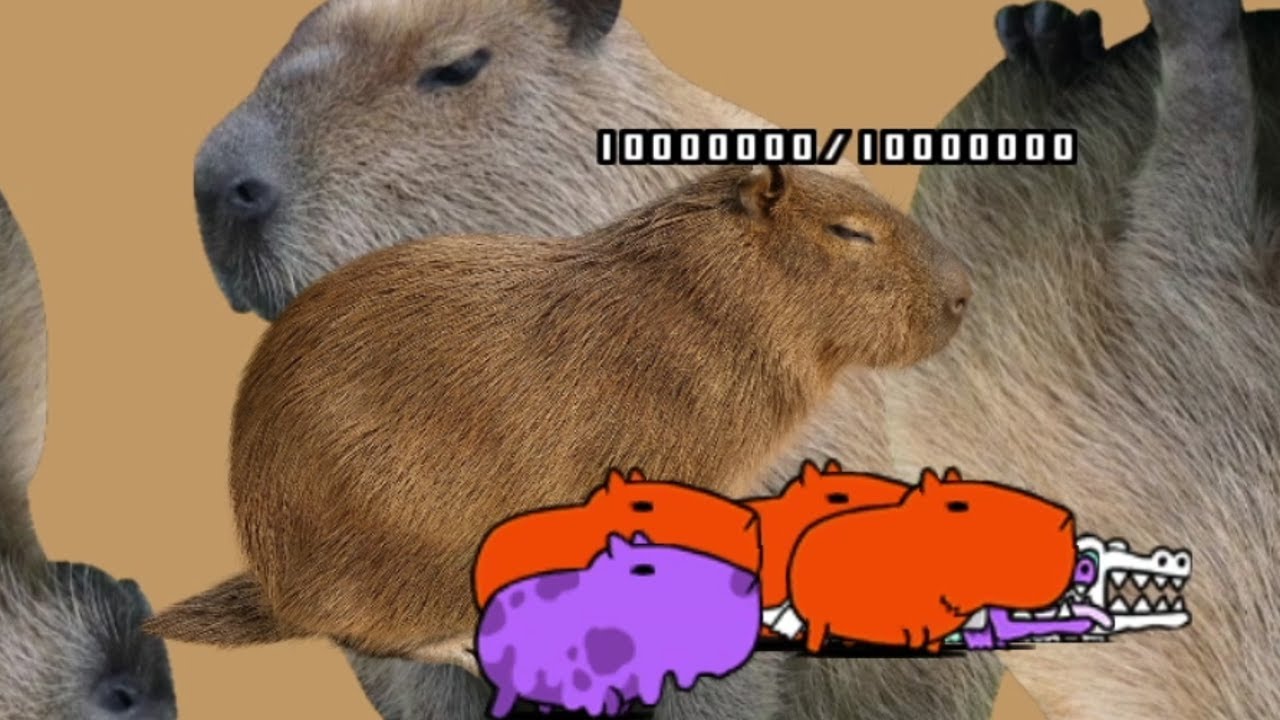 the battle cat Capybara