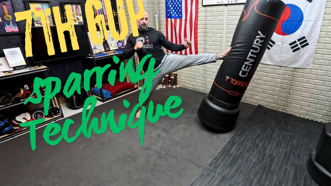 7th Gup Sparring Technique