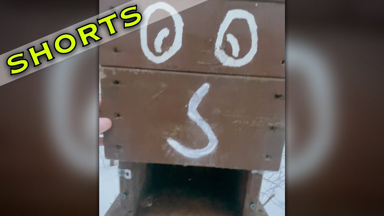NO VACANCY at this birdhouse!