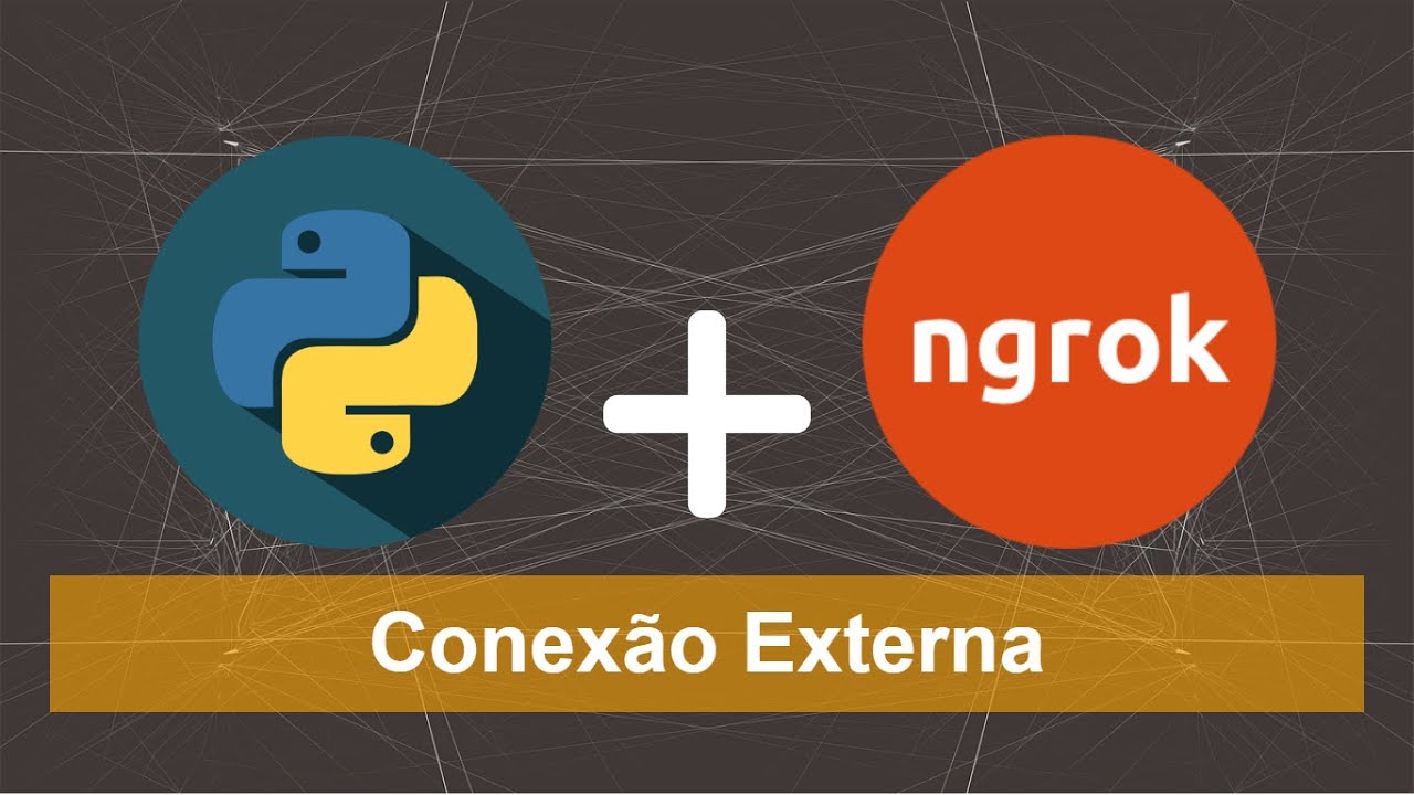 Acessando Rede Externa - Python Socket e Ngrok.
