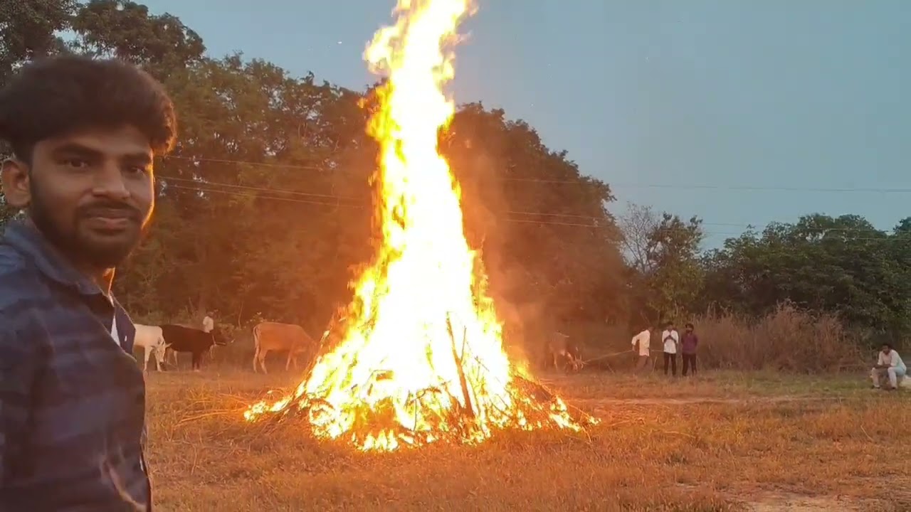 ##Maa Uru sankranthi ...2 🐄