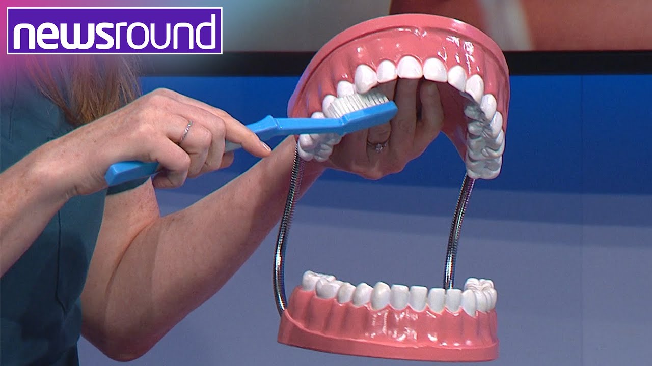 Dentist's Advice for How to Brush Your Teeth | Explained 🦷 | Newsround