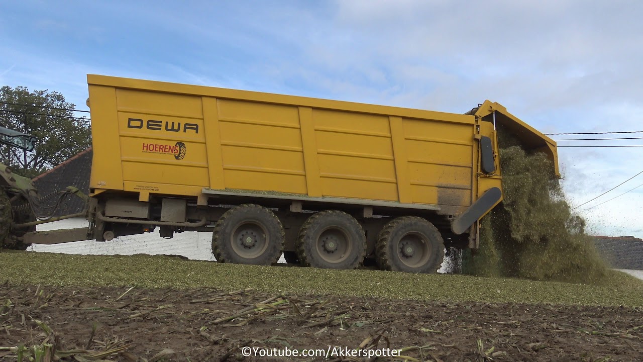 Loonwerken Hoerens maïs hakselen 2019