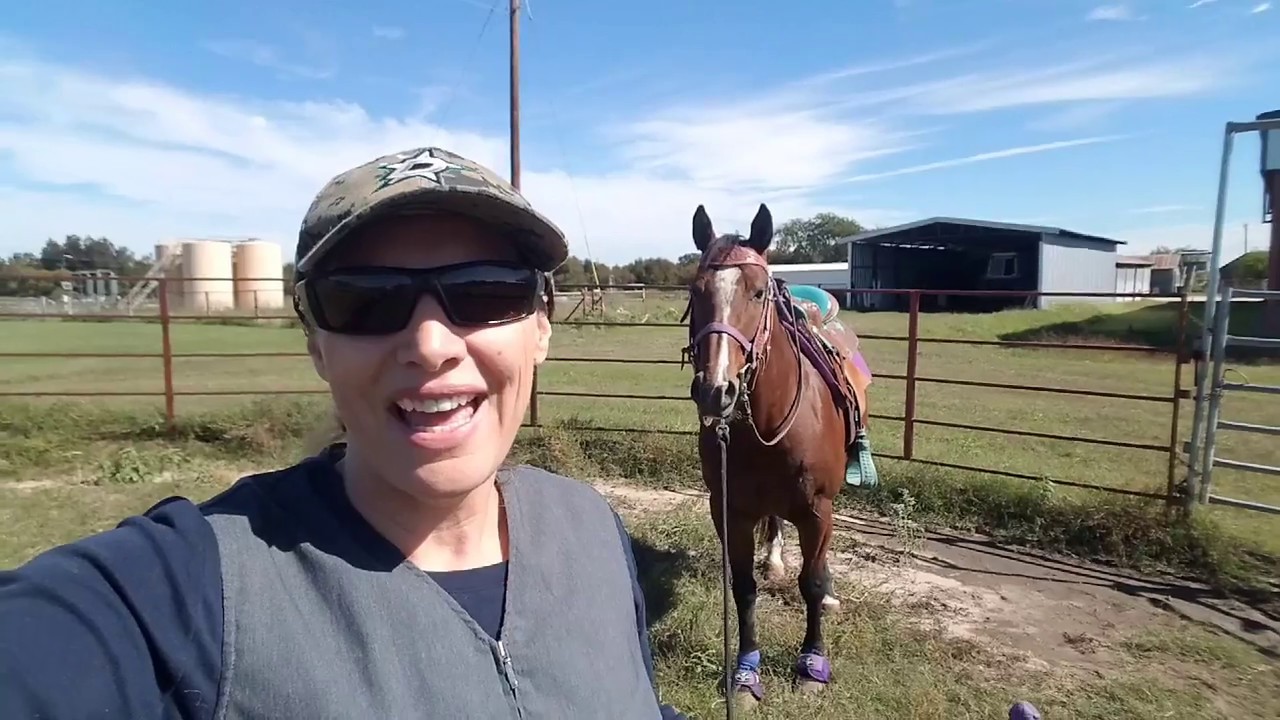 Working in a muddy area to desensitize a horse to stepping in water