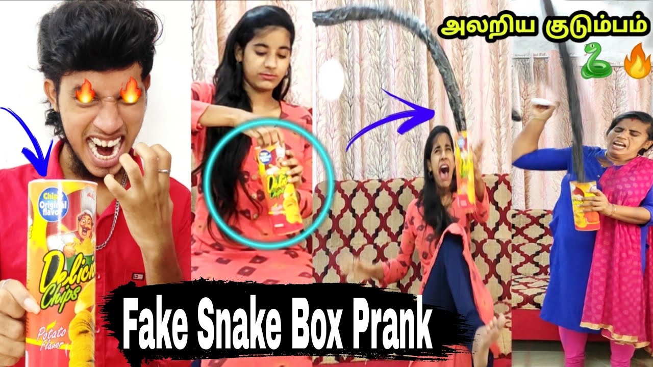 Extreme prank on Santhiya | Fake SNAKE BOX🐍🔥 | Mrdagaalty prank | prank war