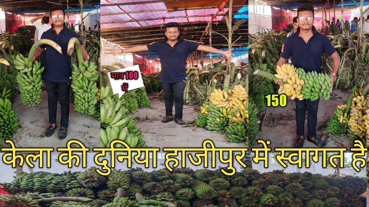 हाजीपुर का केला मात्र इतना में? #हाजीपुर #hajipurnews #vaishali #viralvideo #bihar #chhatpuja
