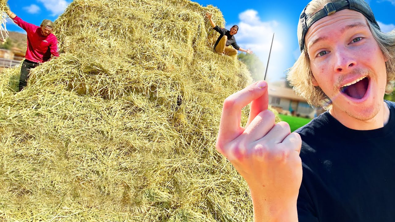 First to Find Needle in Haystack Wins $10,000!