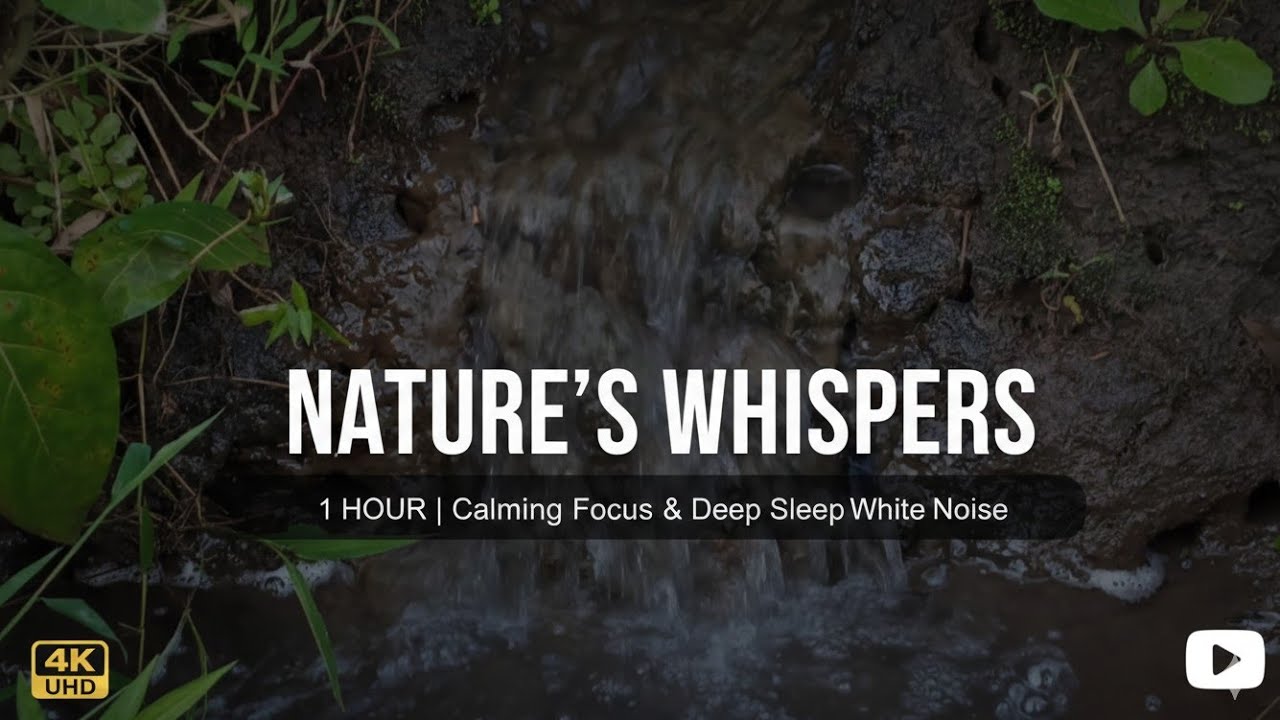 1 HOUR Powerful River Sounds for Deep Sleep & Relaxation