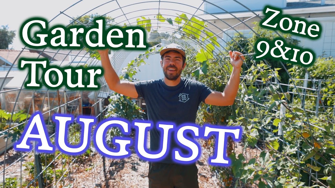 August Garden Walkthrough & Maintenance Tips