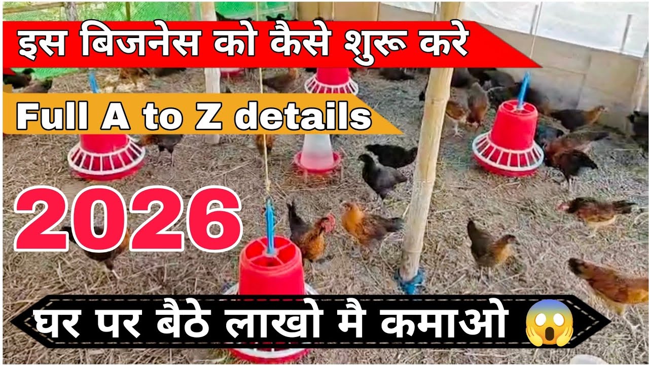 मुर्गी पालन बिजनेस कैसे शुरू करे ? 🐔🐣 2026 ll how to start murgi farming business | business startup