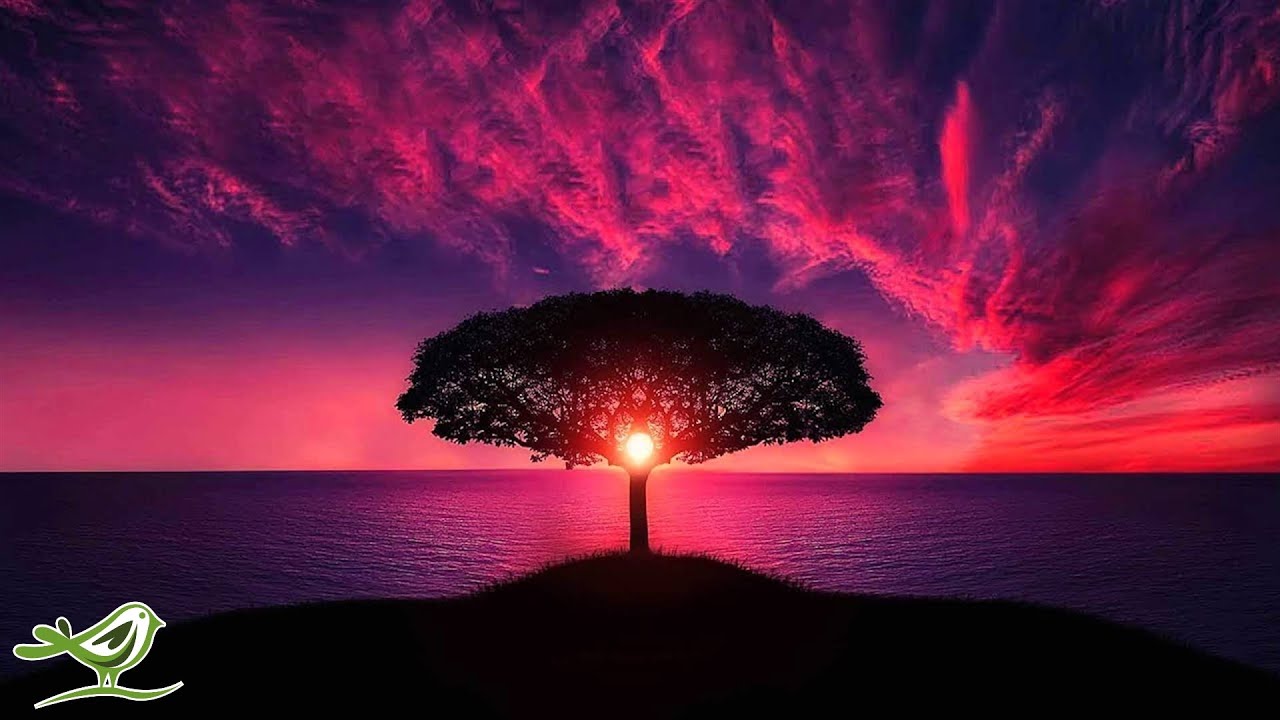 1 Hour of Relaxing Sleep Music: Piano, Flute, Guitar & Deep Atmosphere ★16
