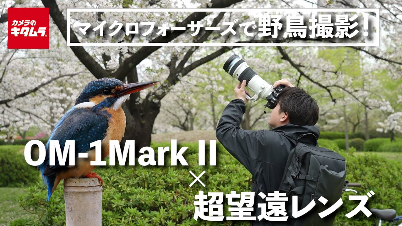OM SYSTEM OM-1 Mark II と 超望遠レンズで野鳥撮影｜従来機種から進化したAF性能はいかに