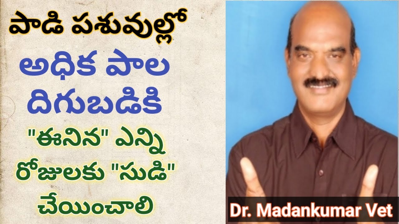 How to get highest milk production in cows and buffaloes-1 Telugu | Dr. Madankumar Vet