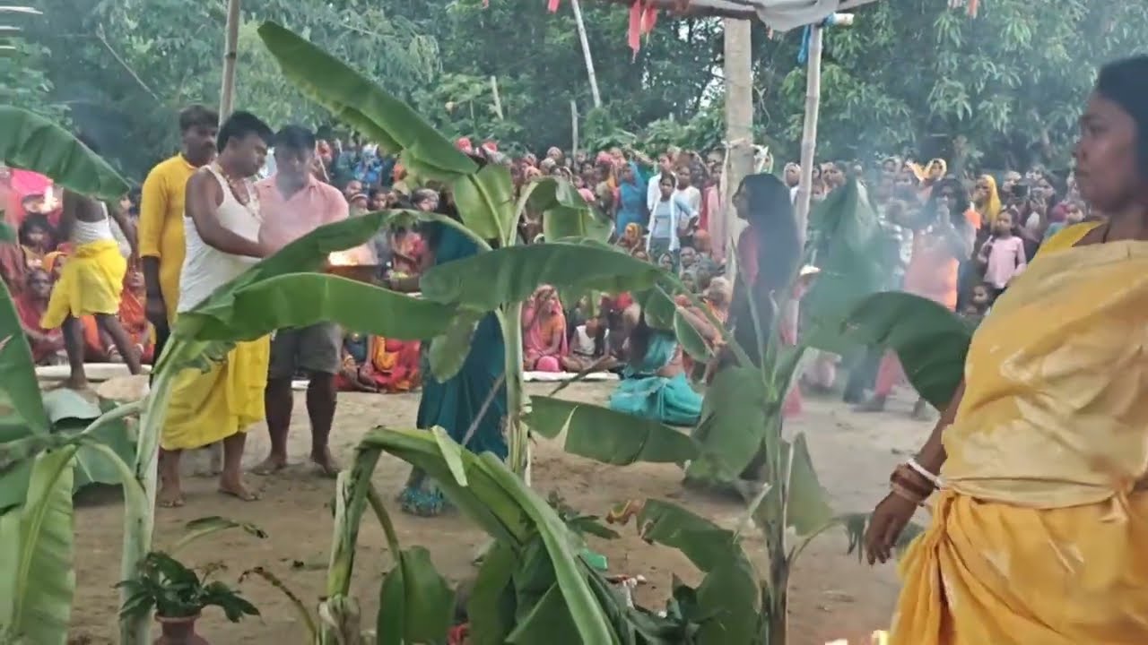 जय माता दी ललित गुरु जी राजा शैलेश महाराज पूजा झूमर गायक कलाकार ललित गुरुजी 🕉️
