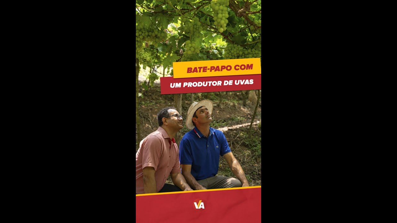 De onde vem a uva do Vantajão? 🍇 #Shorts